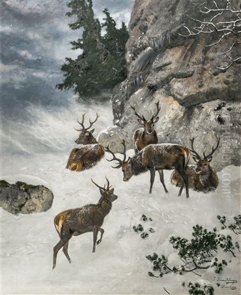 Hirsche In Winterlandschaft Oil Painting by Josef Schmitzberger