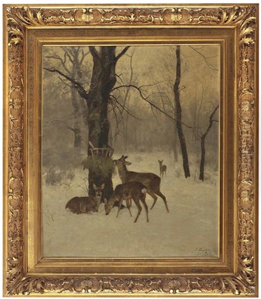 Rotwild Im Winterwald Bei Der Futterkrippe Oil Painting by Josef Schmitzberger