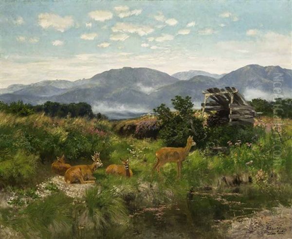 Rehwild Auf Einer Lichtung Oil Painting by Josef Schmitzberger