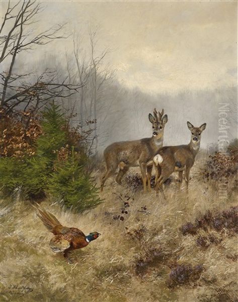 Herbststimmung Mit Rotwild Und Fasan Oil Painting by Josef Schmitzberger