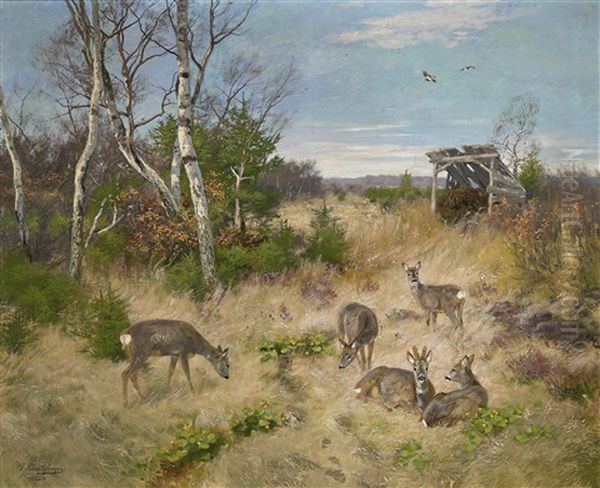 Rastendes Rehwild Oil Painting by Josef Schmitzberger