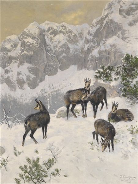 Gamse Im Winter Oil Painting by Josef Schmitzberger