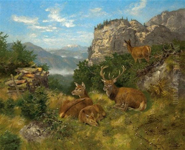 Ruhendes Rotwild Oil Painting by Josef Schmitzberger