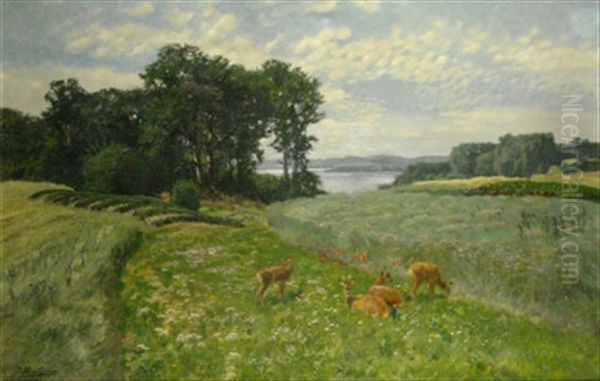 Rehe Auf Bluhender Sommerwiese, Im Hintergrund Blick Auf Weite Seenlandschaft Oil Painting by Josef Schmitzberger