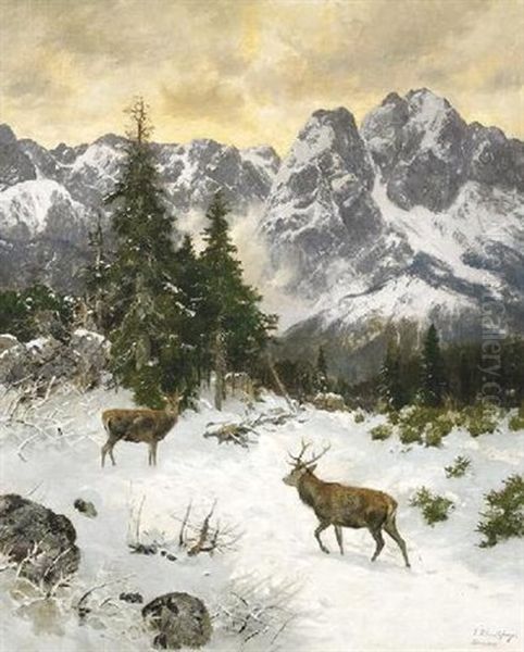 Zwei Kapitale Hirsche An Einem Wintermorgen Im Gebirge Oil Painting by Josef Schmitzberger