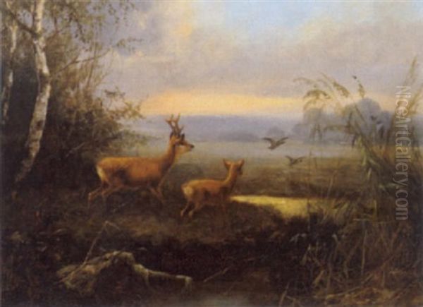 Rotwild In Auslandschaft Oil Painting by Josef Schmitzberger