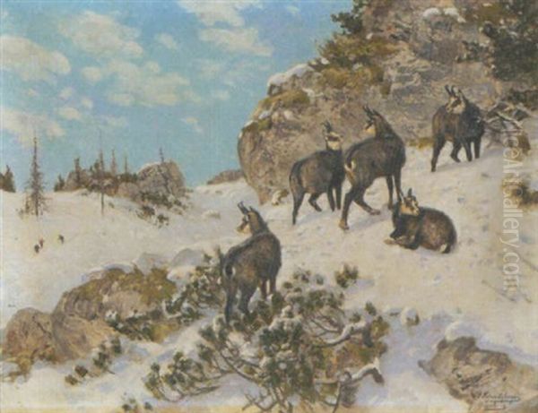 Gamsen Im Winterlichen Hochgebirge Oil Painting by Josef Schmitzberger