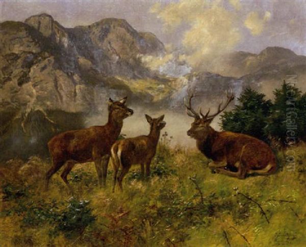 Rotwild Oil Painting by Josef Schmitzberger