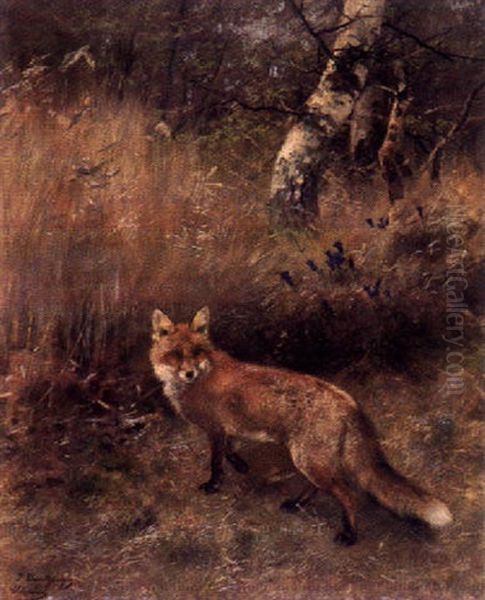 Fuchs Am Waldrand Oil Painting by Josef Schmitzberger