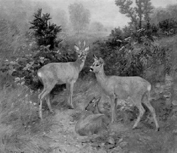 Rehe Auf Einer Wiese Oil Painting by Josef Schmitzberger