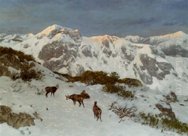 Chamois In A Mountainous Winter Landscape Oil Painting by Josef Schmitzberger