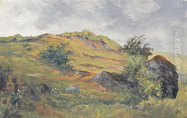 Anhohe Mit Felsblock Oil Painting by Friedrich Philipp Schmoele