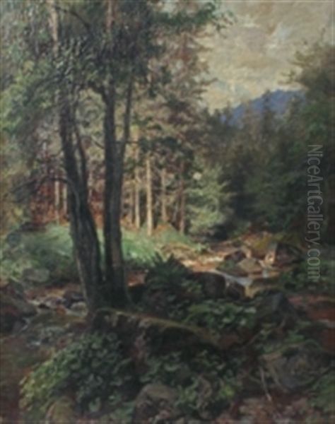 Waldinneres Mit Bachlauf Oil Painting by Hermann Schnee