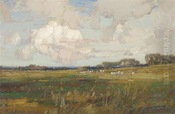 Sheep Grazing In A Sunlit Meadow, Possible The Vale Of York Oil Painting by Kershaw Schofield