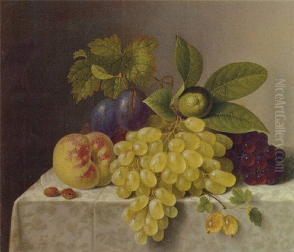 A Still Life With Grapes, Plums, A Lime And A Peach Oil Painting by Friedrich Wilhelm Schon