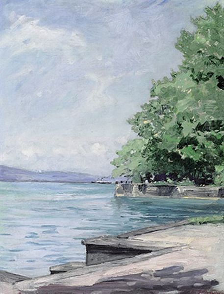 Blick Vom Lindenhofpark Auf Den Bodensee Mit Schweizer Ufer Oil Painting by Leopold Schoenchen