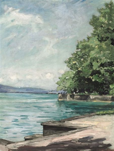 Blick Vom Lindenhofpark Auf Den Bodensee Mit Schweizer Ufer. Vorbeiziehender Raddampfer Oil Painting by Leopold Schoenchen