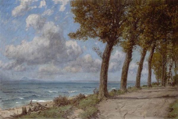 Partie Am Chiemsee Oil Painting by Leopold Schoenchen