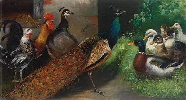 Pfau Im Huhnerhof Mit Enten, Hahn Und Henne Oil Painting by Alfred Schoenian