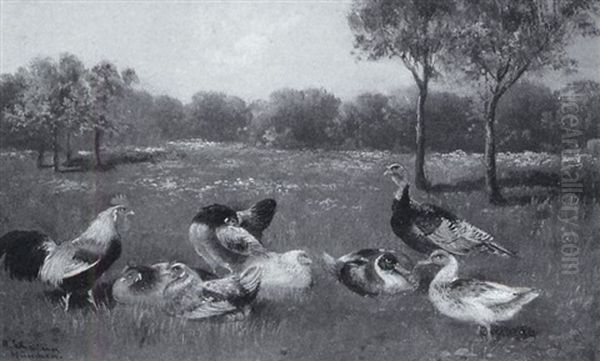 Huhner Und Enten Auf Einer Wiese Oil Painting by Alfred Schoenian