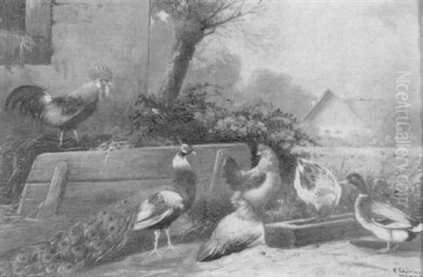 Huhnerhof Mit Pfau Und Enten Am Futtertrog Oil Painting by Alfred Schoenian