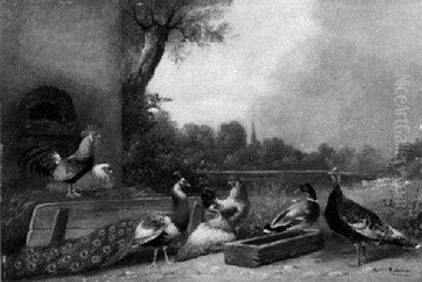 Federvieh Mit Huhnern, Pfau, Pute Und Ente Vor Stall An Einem Teich Oil Painting by Alfred Schoenian