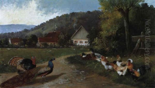 Federvieh In Landlicher Umgebung Oil Painting by Alfred Schoenian