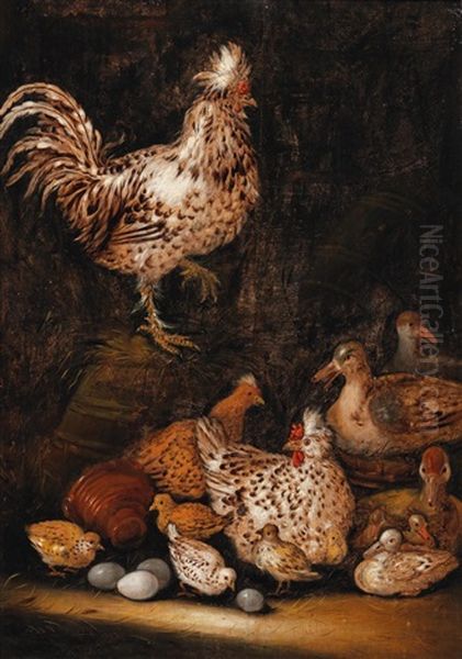 Chickens Oil Painting by Petrus Schotanus