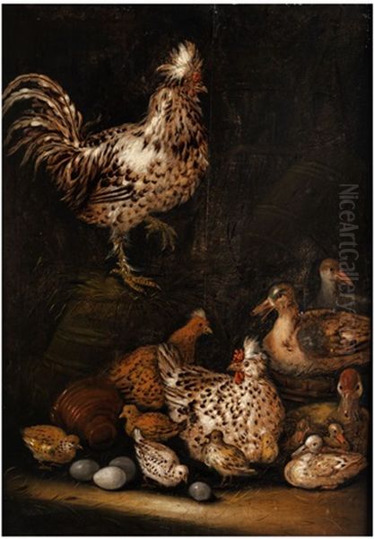 Tierstuck Mit Hahn, Huhnern, Enten Und Eiergelegen Oil Painting by Petrus Schotanus