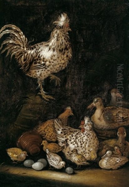 Huhner Und Enten Mit Ihren Kuken In Einem Geflugelhof Oil Painting by Petrus Schotanus