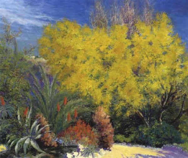 Bluhende Mimosen Oil Painting by Pablo (Poul) Schouboe