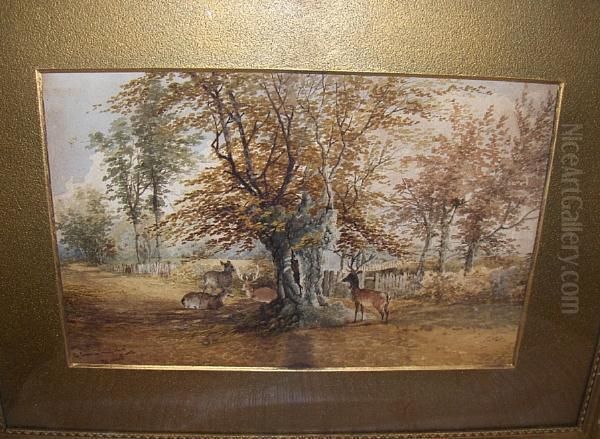 A Scene In Knole Park, Kent Oil Painting by Stephen J. Bowers