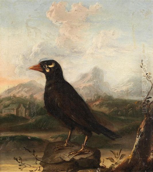 A Mynah Bird, An Imaginary Mountainous Landscape Beyond Oil Painting by Aert Schouman