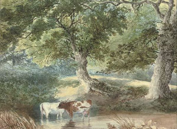 Cattle Watering Oil Painting by Stephen J. Bowers