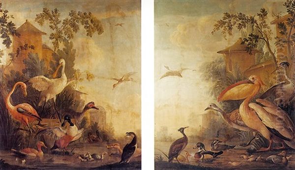 Oiseaux Decoratifs Dans Un Parc Oil Painting by Aert Schouman