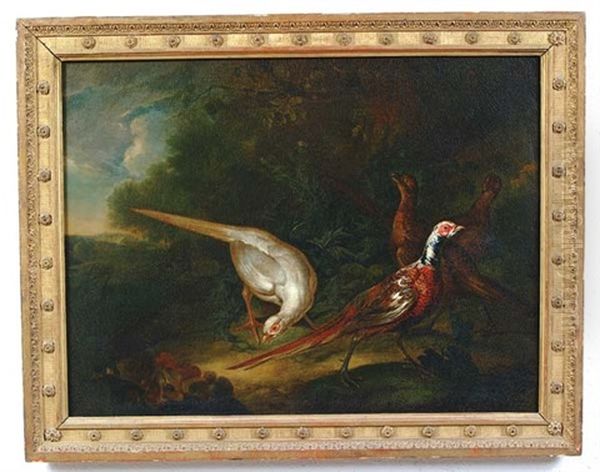 Pheasants In A Landscape Oil Painting by Aert Schouman