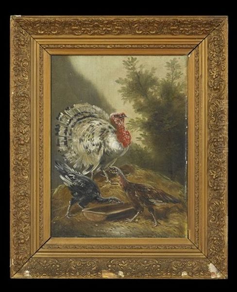 Turkey In The Farmyard (pair) by Henry Schouten