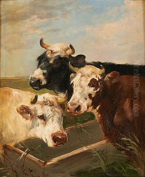 Trois Vaches A L'abreuvoir Oil Painting by Henry Schouten