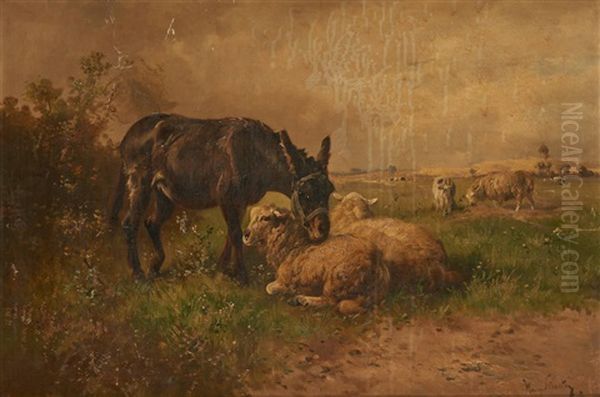 Ane Et Moutons Au Paturage Oil Painting by Henry Schouten