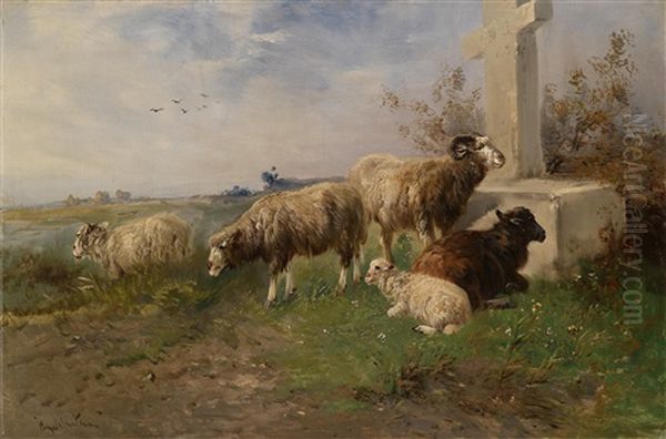 Schafe Auf Der Weide by Henry Schouten