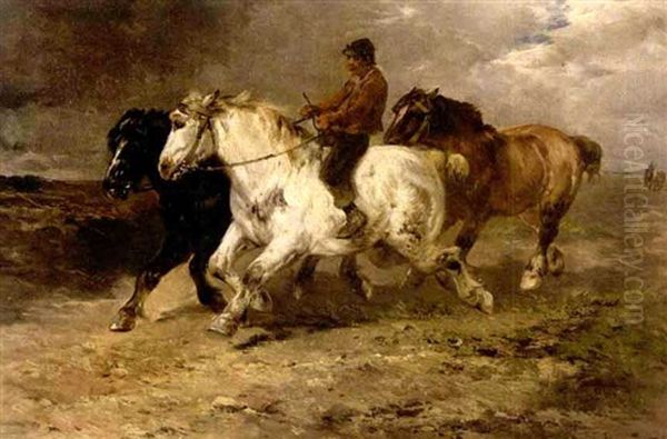 Boy With Galloping Horses On The Beach Oil Painting by Henry Schouten