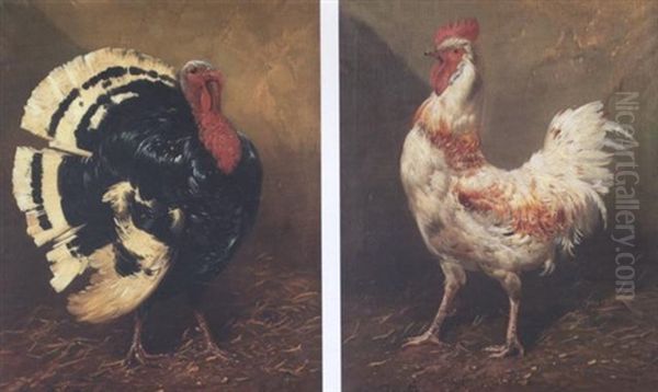 A Turkey Oil Painting by Henry Schouten