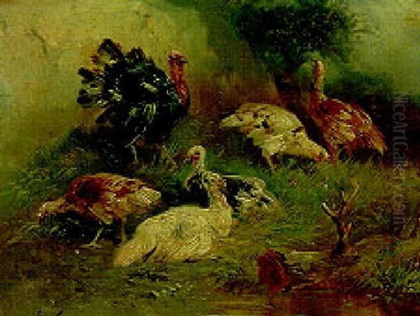 Turkeys In A Landscape Oil Painting by Henry Schouten