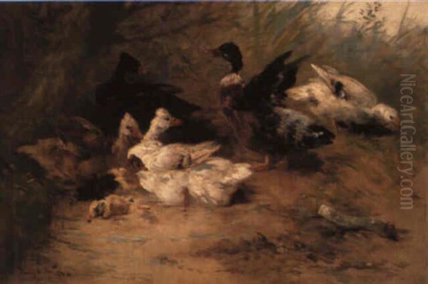 Ducks On A River Bank Oil Painting by Henry Schouten