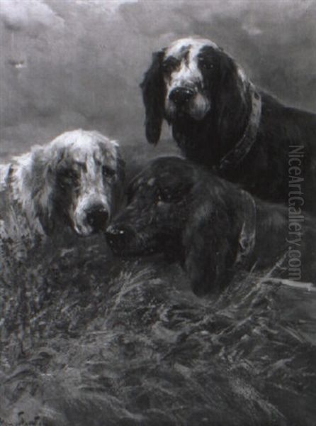 Drei Jagdhunde, Deren Kopfe Aus Dem Gras Hervorschauen Oil Painting by Henry Schouten