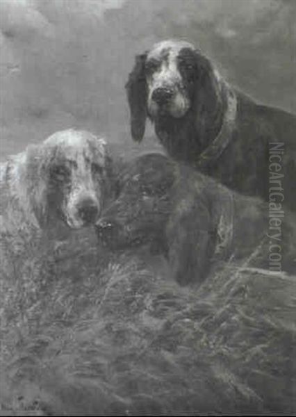 Jagdhunde Im Gestr_pp Oil Painting by Henry Schouten