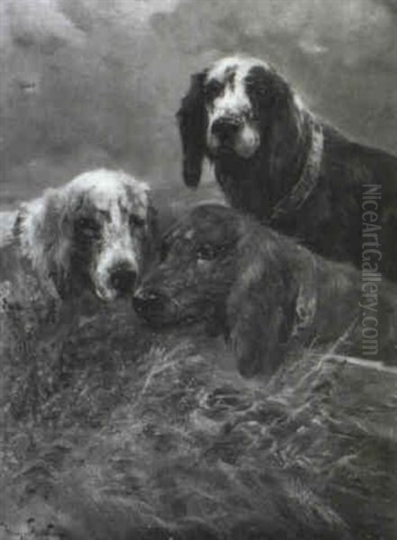 Drei Jagdhunde Oil Painting by Henry Schouten