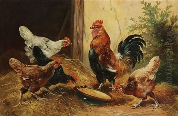 Coq Et Poules A La Cour Oil Painting by Paul Schouten