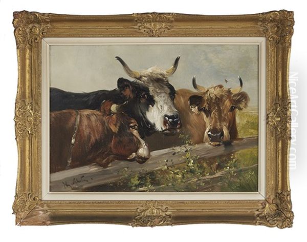 Bulls At A Fence Oil Painting by Henry Schouten