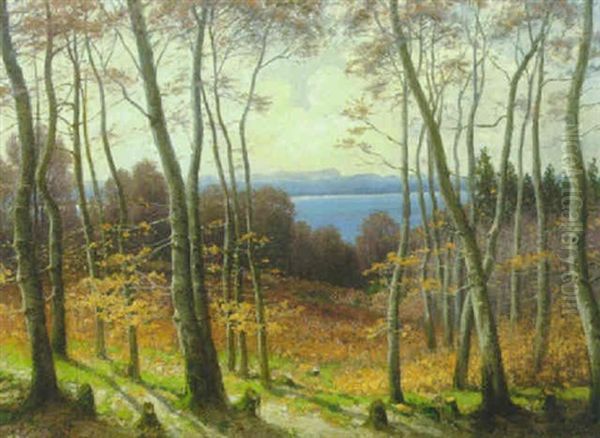 Am Ammersee Bei Herrsching Oil Painting by Josef Schoyerer